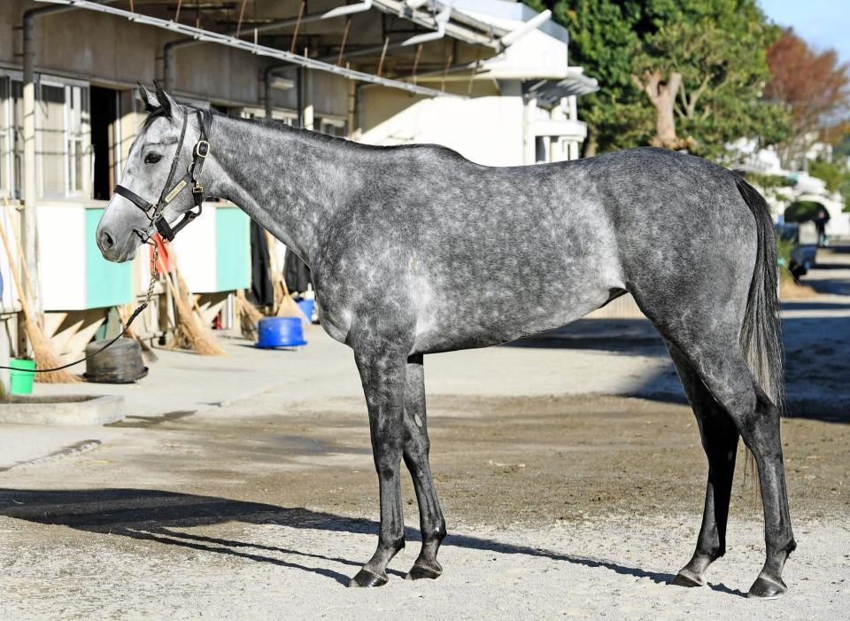 ノームコア　評価Ｂ