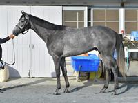 オメガパフューム　評価Ｂ