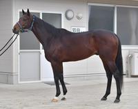 インカンテーション　評価Ｃ