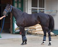 サンライズソア　評価Ｂ