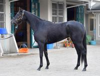 クロノジェネシス　評価Ｂ