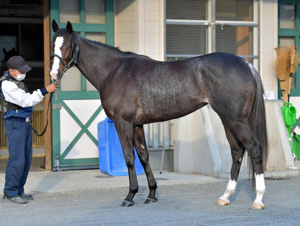 ベルスール　評価Ｃ