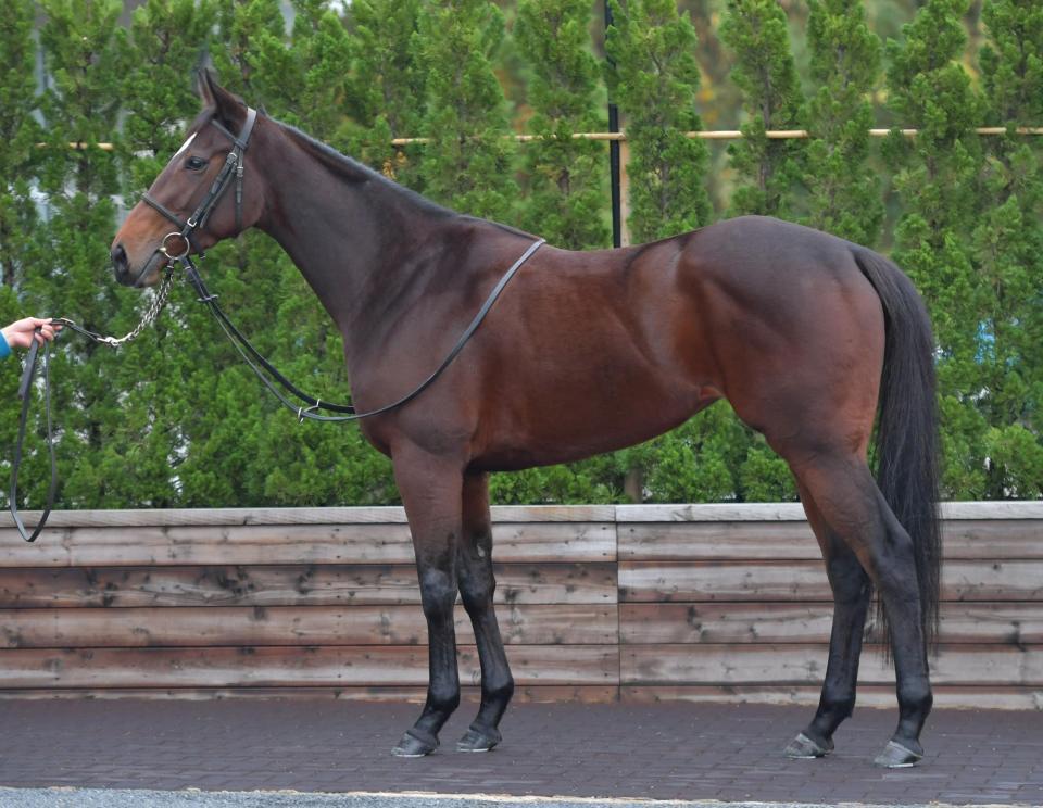 ダノンファンタジー　評価Ａ