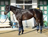 サンライズソア　評価Ｂ