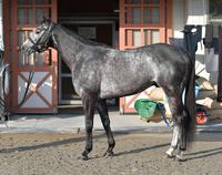 クインズサターン　評価Ｂ