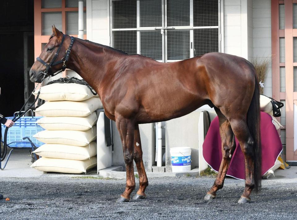 モーニン　評価Ｂ