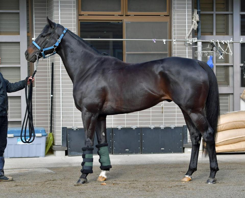 サクセスエナジー　評価Ｂ