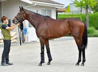 ダノンスマッシュ　評価Ａ