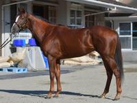 スワーヴリチャード　評価Ｂ