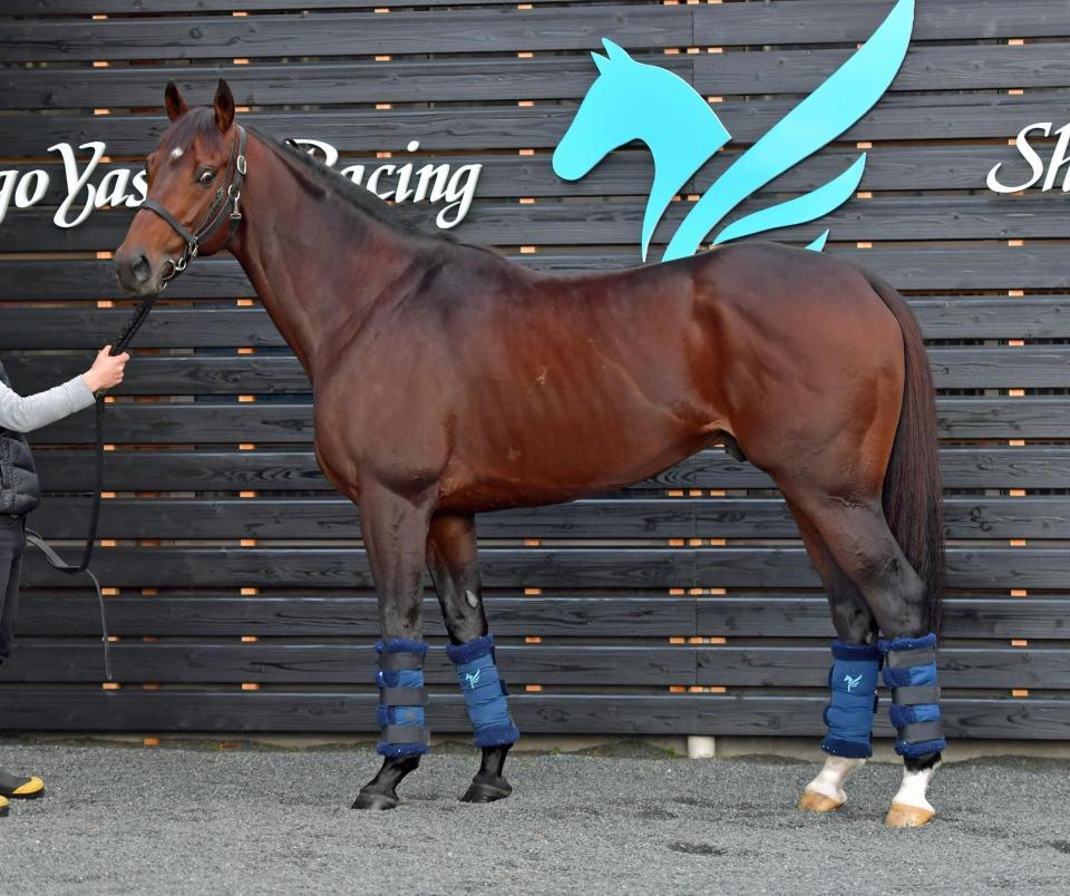 ワンダーリーデル　評価Ｂ