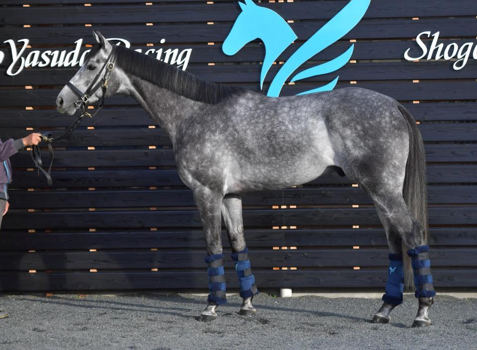 オメガパフューム　評価Ａ