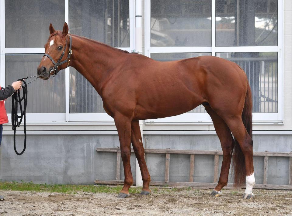 ヴェンジェンス　評価Ｂ