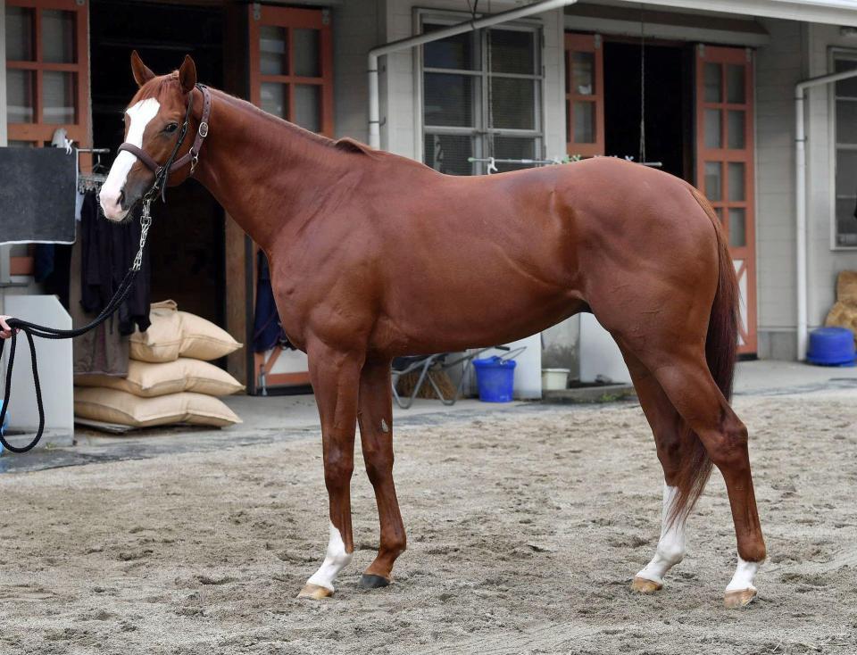 インティ　評価Ｂ