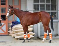 ナミュール　評価Ａ