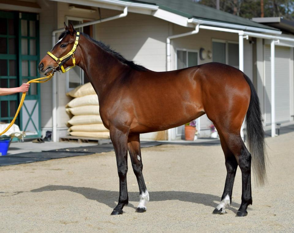 アルーリングウェイ　評価Ｂ