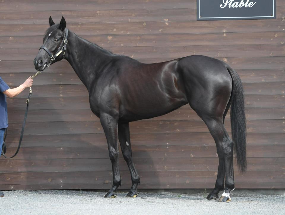 ウォーターナビレラ　評価Ｂ