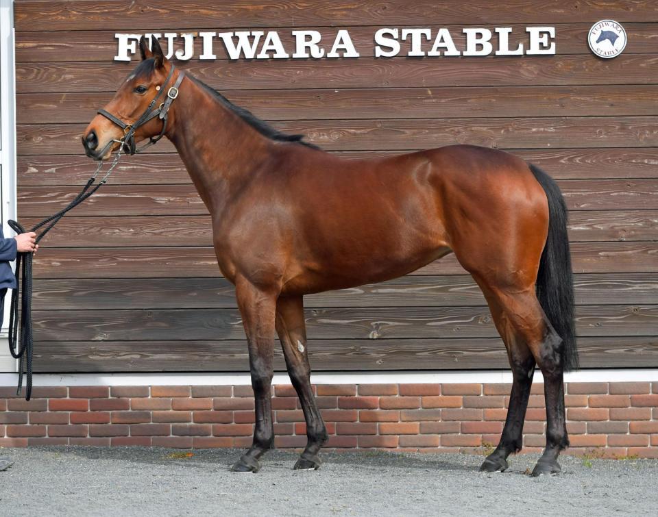 サブライムアンセム　評価Ｂ