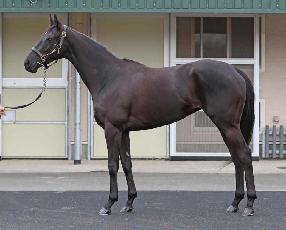 ラブリイユアアイズ　評価Ｂ