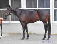 ウメムスビ　評価Ｃ