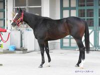 フロムダスク　評価Ｃ