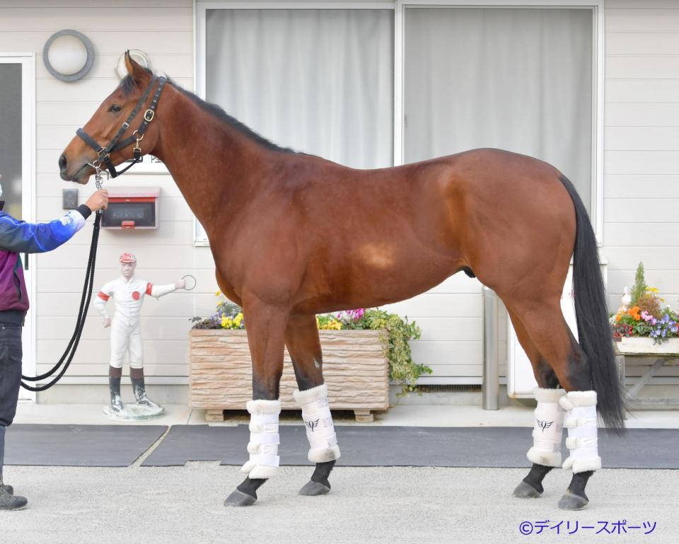 ダノンタッチダウン　評価Ｂ