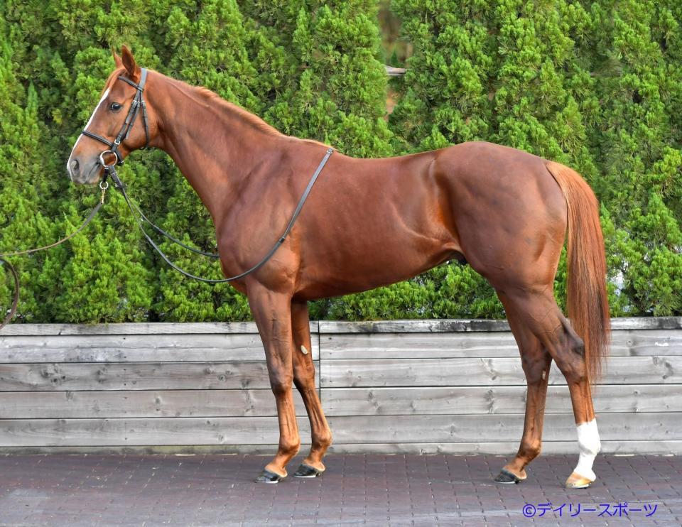 コーパスクリスティ　評価Ｂ