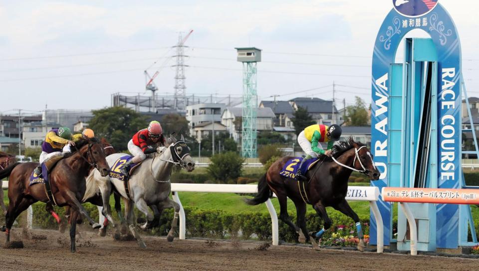 テレ玉杯オーバルスプリントを制したノブワイルド（２）＝浦和競馬場