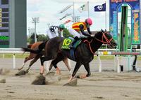 直線でインティを捕らえかしわ記念を制したゴールドドリーム＝船橋競馬場