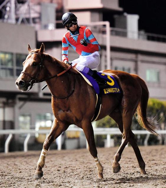 【地方競馬】韓国Ｇ１制した８歳馬が不良馬場で逃走Ｖ！武豊背に交流重賞３勝目