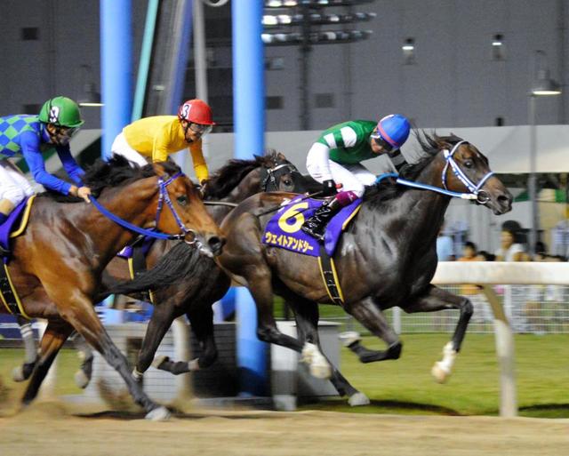 地方競馬 ウェイトアンドシーがスパーキングサマーｃ制覇 逃げ切って重賞２勝目 注目レースプレイバック レース デイリースポーツ Online