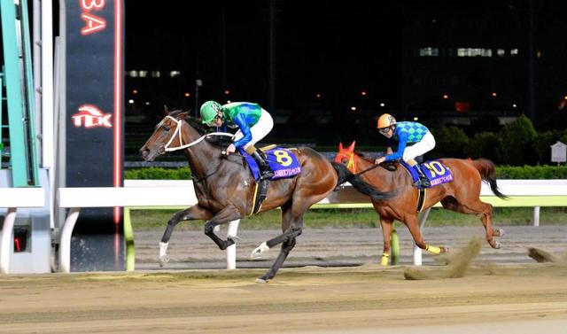 地方競馬 トーセンガーネットが牝馬２冠 直線一気で東京プリンセス賞制覇 注目レースプレイバック レース デイリースポーツ Online