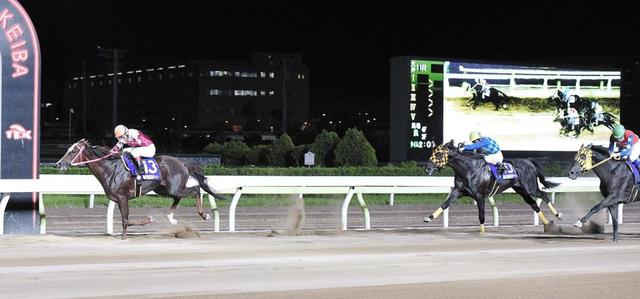 地方競馬 ヒカリオーソが東京ダービー制覇 ３番人気ながら早め先頭で完勝 注目レースプレイバック レース デイリースポーツ Online