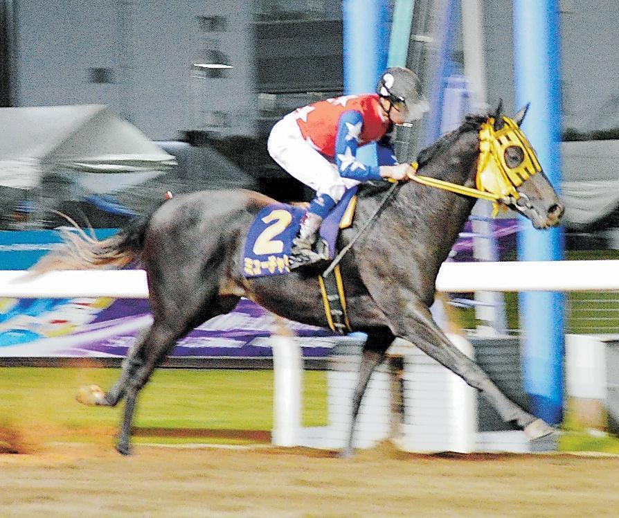 ６馬身差の圧勝で重賞初制覇のミューチャリー