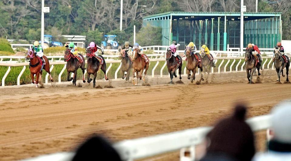 　園田競馬