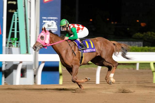 地方競馬 アクアリーブルが東京プリンセス賞ｖ 母娘制覇で牝馬２冠を達成 注目レースプレイバック レース デイリースポーツ Online