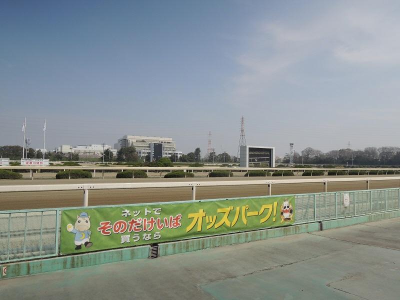 　園田競馬