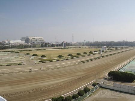 園田競馬