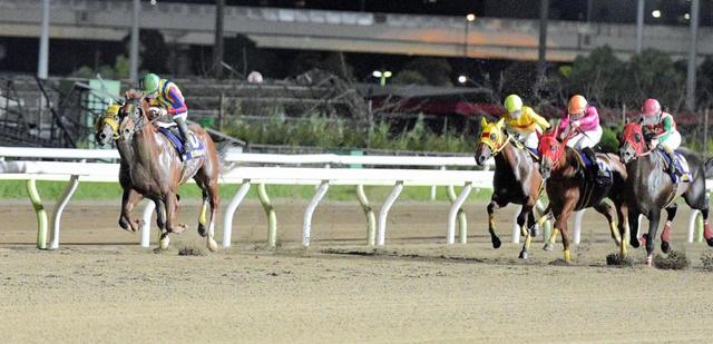 アフター５スター賞 ３歳馬ワールドリングが重賞連勝 注目レースプレイバック レース デイリースポーツ Online