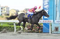 完勝でオーバルスプリントを制したテイエムサウスダン（撮影・持木克友）