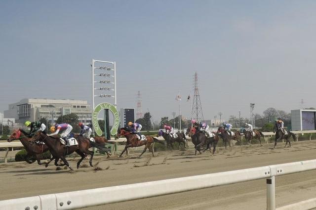 園田競馬 １５日 園田１１ｒ 第５回兵庫ゴールドカップ 地力最上位のコパノフィーリングが中心 今週の注目レース レース デイリースポーツ Online