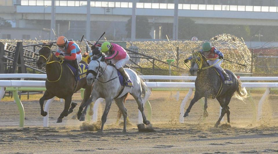 　激しい先頭争いをするオメガパフューム（撮影・持木克友）