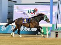 報知オールスターカップを制したノーヴァレンダ（撮影・持木克友）