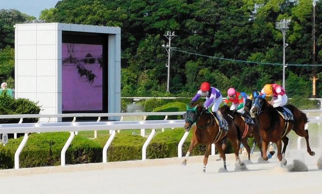 【地方競馬】地元馬ゼットパールがＪＲＡ交流を制覇　直線の一騎打ちを制して淀川特別Ｖ