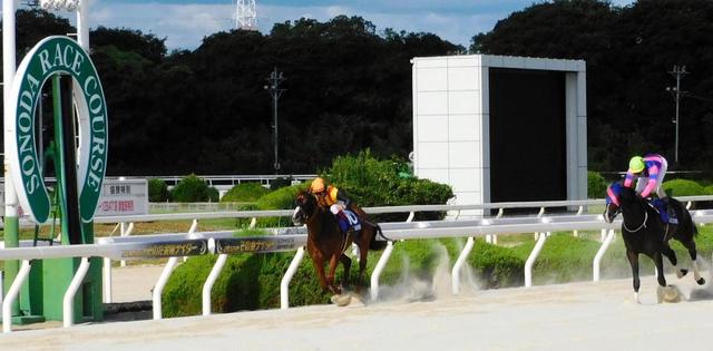 【地方競馬】ＪＲＡのメイショウミツヤスが加古川特別Ｖ　今村聖奈は２着で地方連勝ならず
