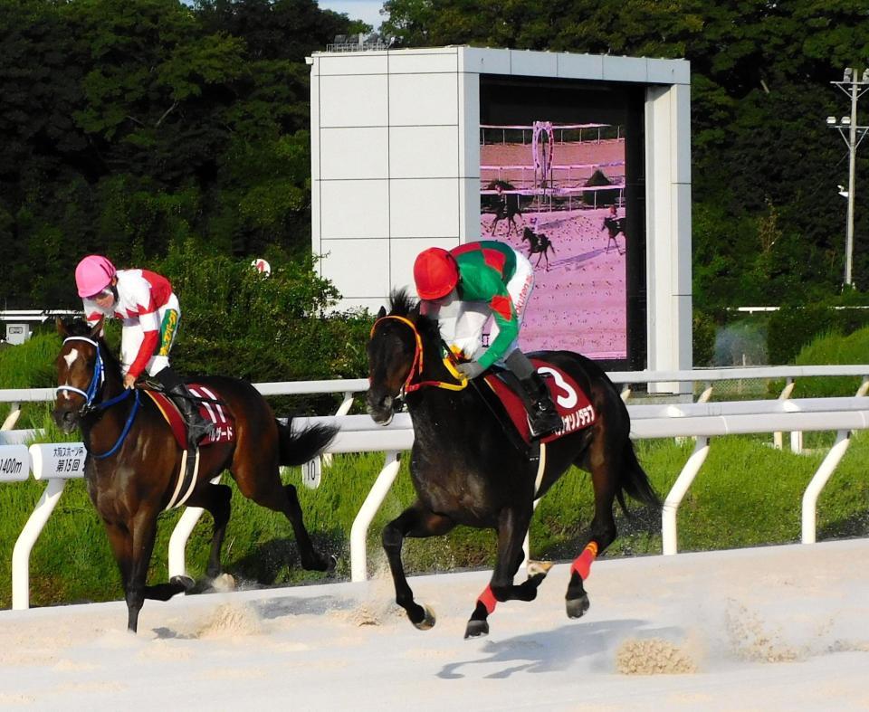 　無傷の３連勝で重賞１冠目を獲得したベラジオソノダラブ（右）＝撮影・中山伸治