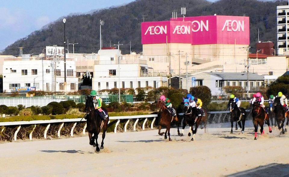 　圧勝で夢前川特別を制したニホンプロクリフ（左）＝撮影・中山伸治