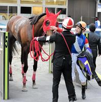 　引退レースを終え矢野から労われるサルサディオーネ