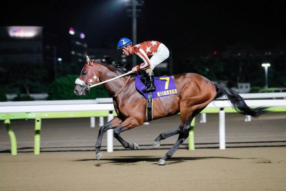 昨年５着の雪辱を狙うセイカメテオポリス