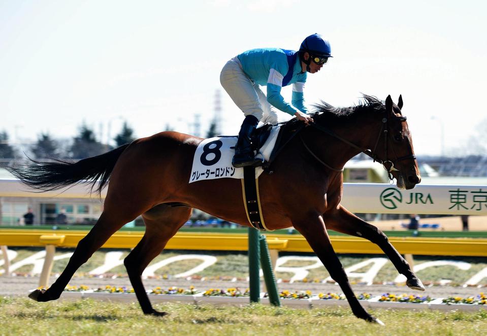 ５Ｒ、直線抜け出してメイクデビューを制したグレーターロンドン＝東京競馬場（撮影・田村亮介）