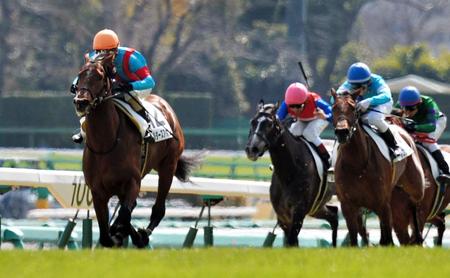 ５Ｒ、逃げ切ってＶのマルターズアポジー＝中山競馬場（撮影・田村亮介）